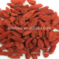 Health food goji berry